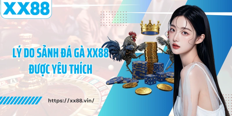 Lý do sảnh đá gà XX88 được yêu thích